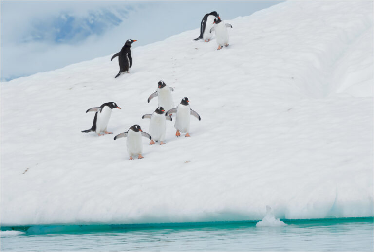 Sun Caiyou - Leisurely